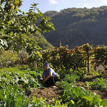 Residenza D'epoca Borgodifiume Hotel