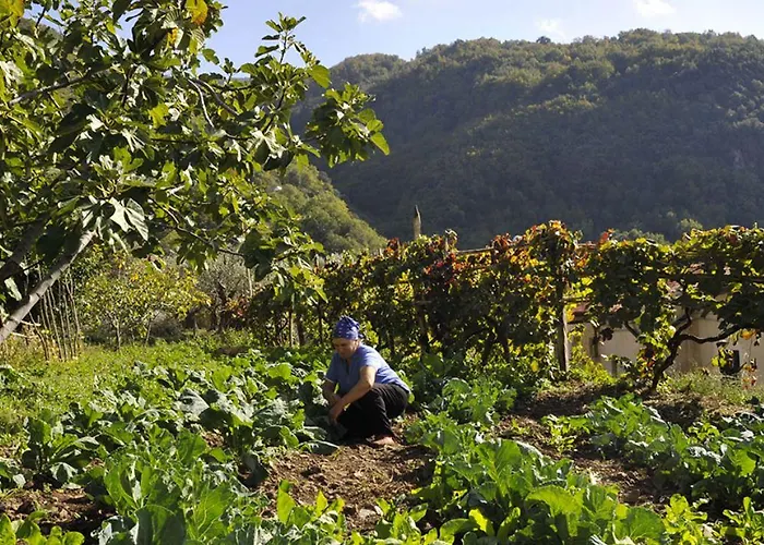 Residenza D'epoca Borgodifiume 酒店